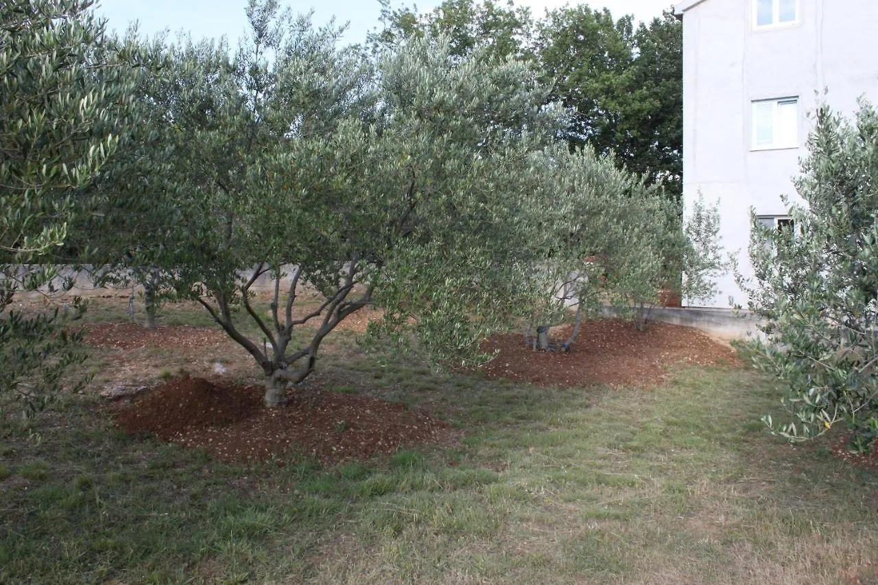 Apartments With A Parking Space Maslenica, Novigrad - 6573 Jasenice